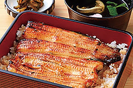 【大分・別府発着】水郷柳川とうなぎ・贈答用あまおう1パックお持ち帰り付き 日帰り2